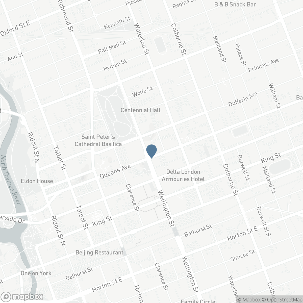 308 - 460 WELLINGTON STREET, London, Ontario N6A 3P8
